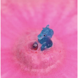 Bombas de baño Pack 6 Unicornios. Zimplikids