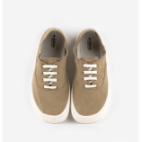 Lona Olmo Laurel. Victoria